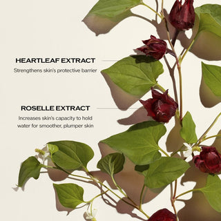 Ultimune Radiance & Resilience Ritual Set ($235 Value)